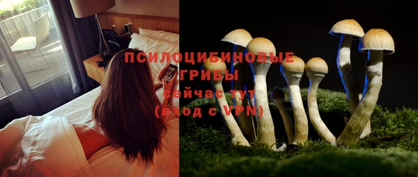 кокаин колумбия Абаза